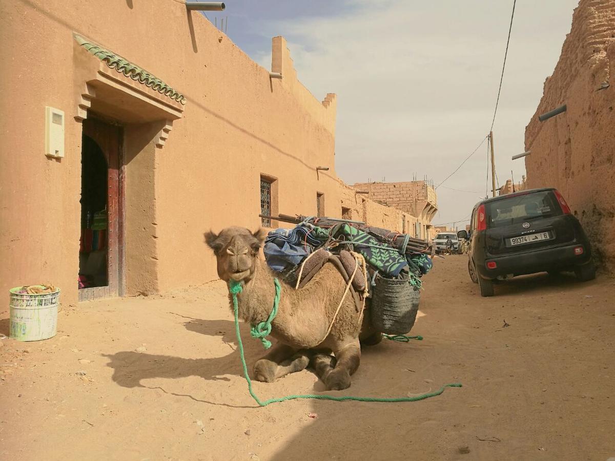 Authentic Riad & Activities Erg M’hamid El Ghizlane Exterior foto